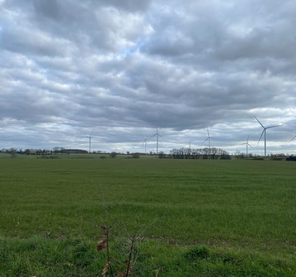 Boucle en campagne depuis lac de Vioreau - Joué-sur-Erdre - 1