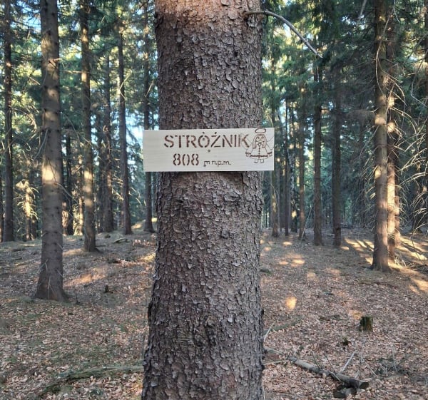 Rudawy Janowickie - Pisarzowice - 1