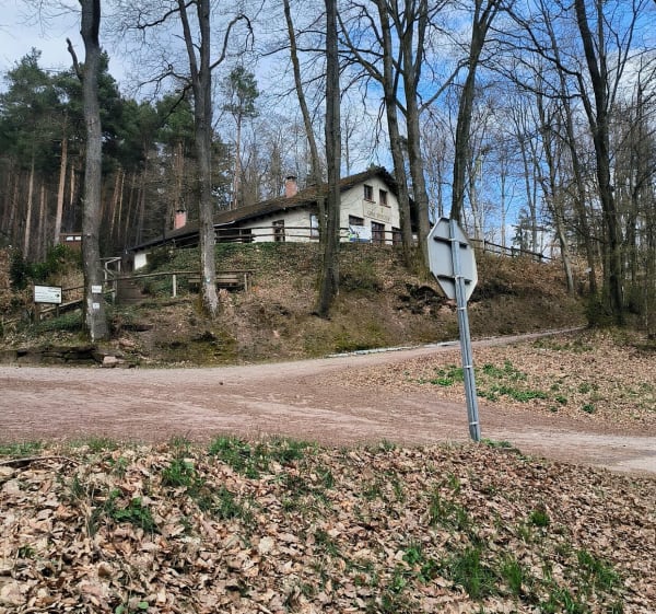 Balade forestière du Climbach - Climbach - 1