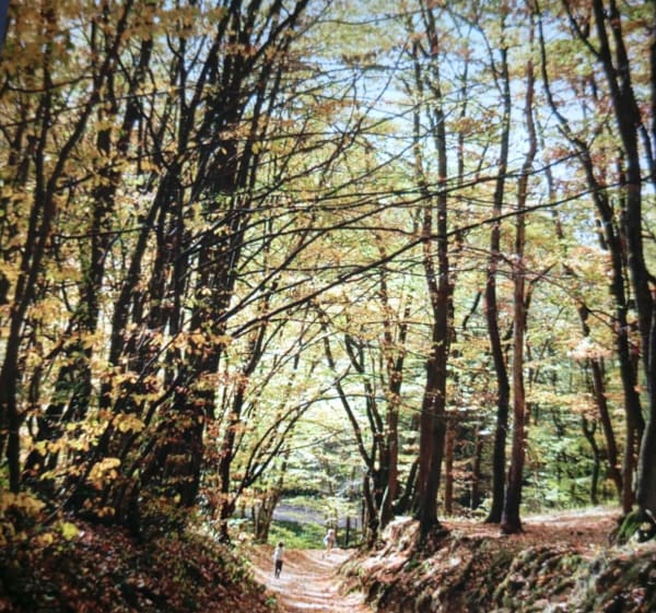 Boucle entre Boujan et Bassan - JEAN PIERRE - 1