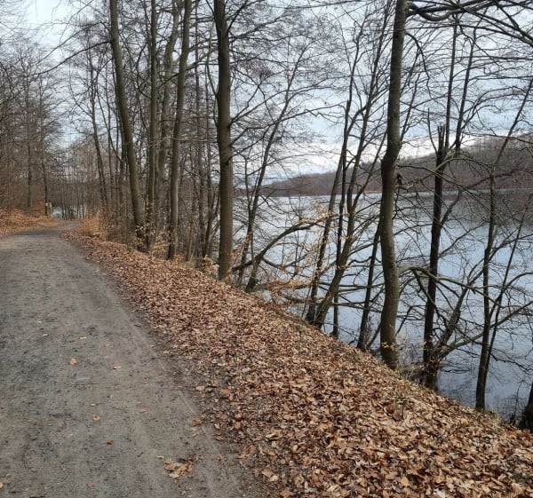 Trasa piesza nad jezioro Przywidzkie - Pręgowo - 1