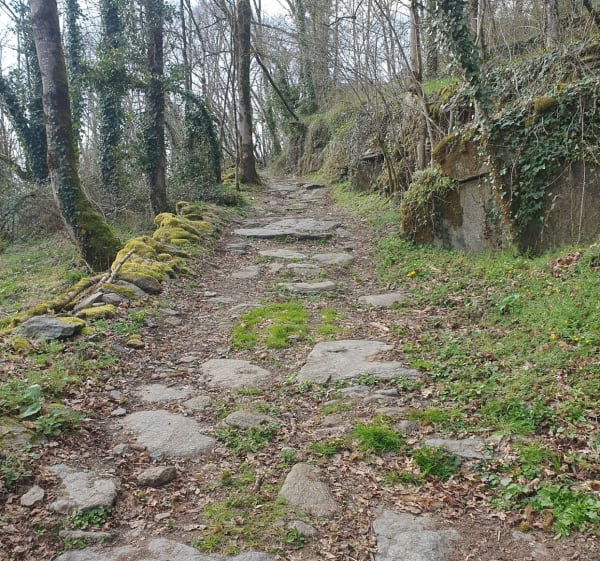 Le pont celtique, et Bois de la Croix à Donzenac - Donzenac - 1