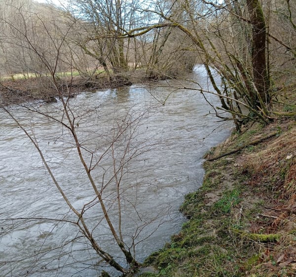 Boucle de l'Auvézère, Moulin du Pervendoux et des ruisseaux - Génis - 1