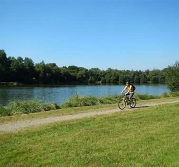 Circuit de l’étang du Pont Berthois - Locqueltas - 1
