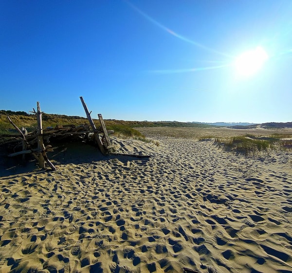 Boucle de la baie d'Authie - Berck - 1