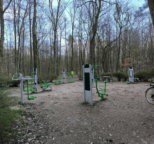Las miejski - Rezerwat Żurawiniec - Poznań - 1