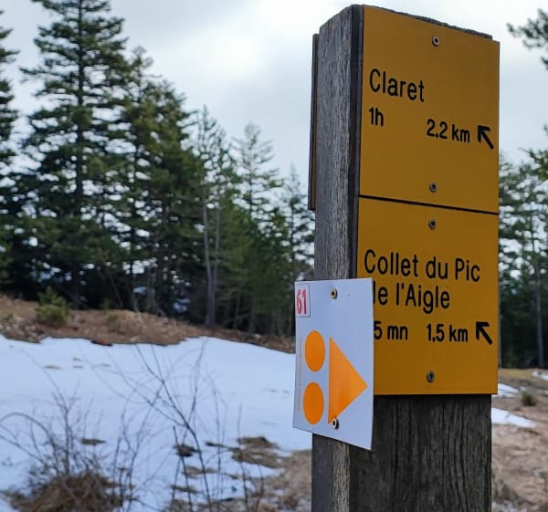 Le Pic de l'Aigle depuis la Route de la Jarjatte - Lus-la-Croix-Haute - 1