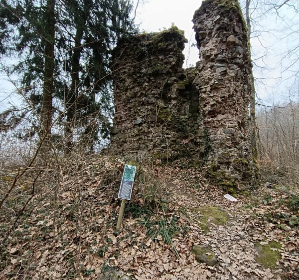 Sentier des carrières - Orschwihr - 1
