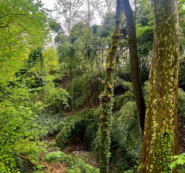 Tour du hameau des Semaises à Montbonnot - Montbonnot-Saint-Martin - 1