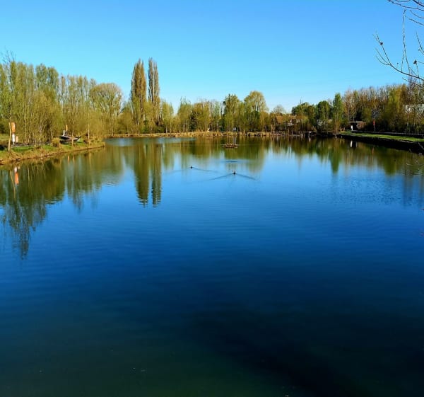 Entre le lac du Héron et Hem - Villeneuve-d'Ascq - 1