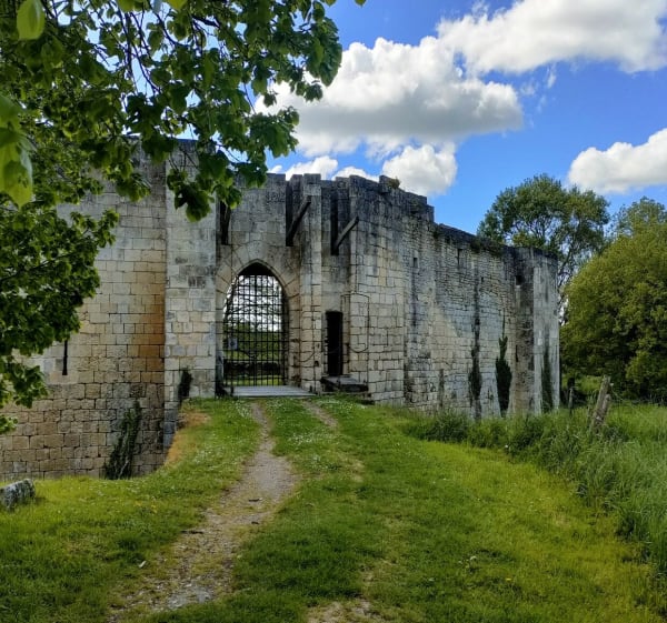 Autour de Nieul-les-Saintes - Nieul-lès-Saintes - 1