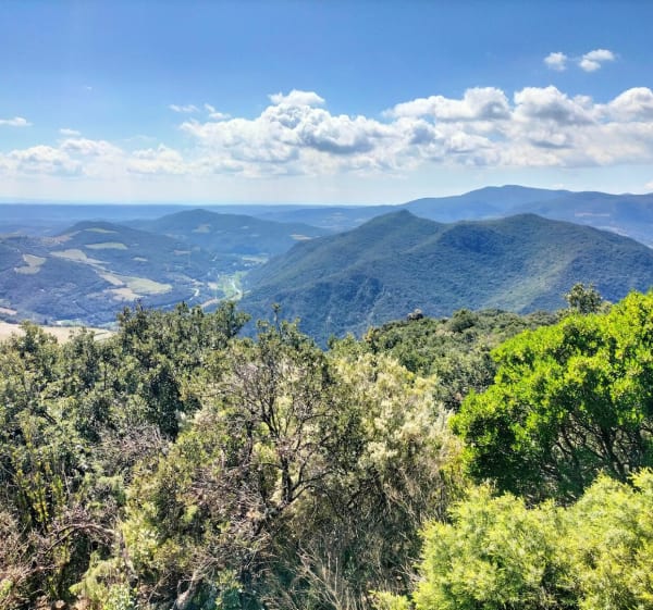 Super petite balade sur La Tour-du-Pin - Vieussan - 1