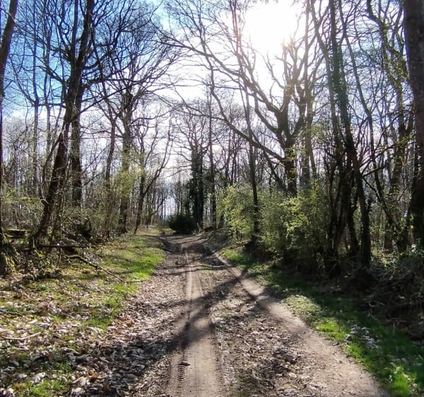 Les Saints Pères - Vue sur la Vallée de l'Yonne - Malay-le-Grand - 1