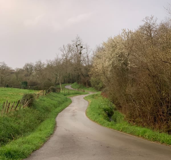 Chemin de la croix blanche, par Zazpithurria - Arbouet-Sussaute - 1