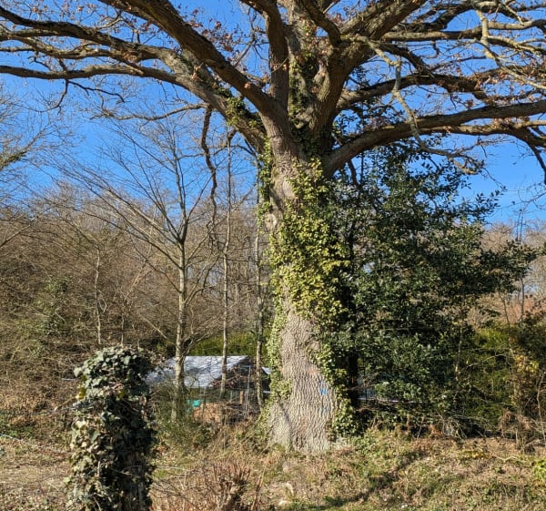 Boucle à Condé-sur-Risle - Condé-sur-Risle - 1