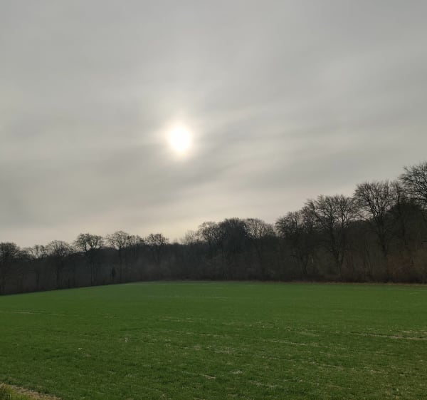 Marche matinale autour de Louches - Landrethun-lès-Ardres - 1