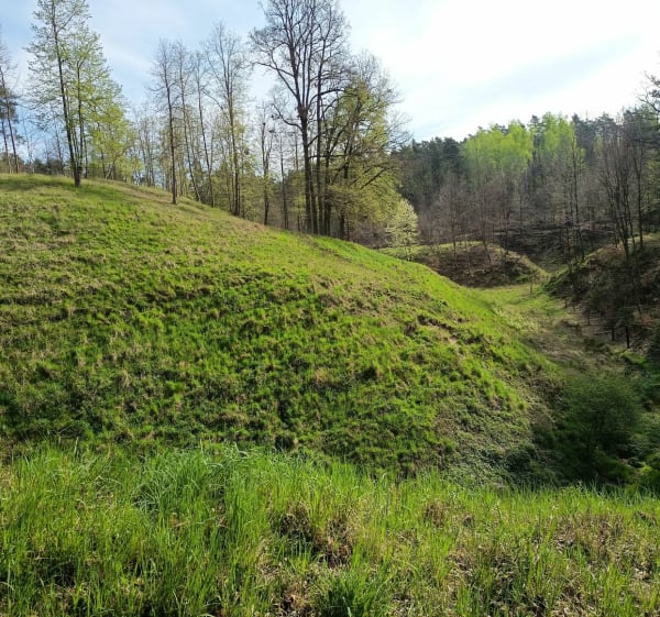 Wokół Miłosnej - Kwidzyn - 1