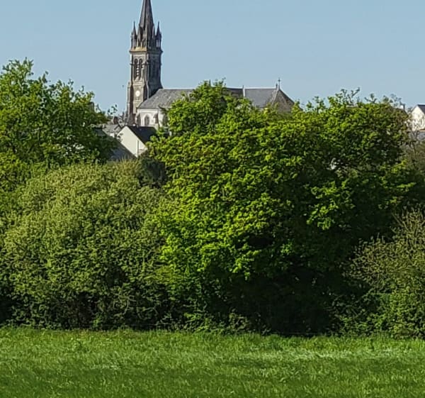 Petit-Mars, son marais, ses petits villages - Petit-Mars - 1