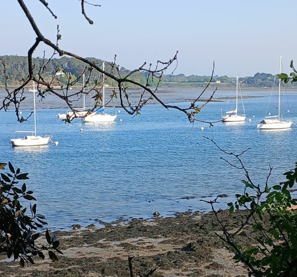Boucle autour des 7 îles - Baden - 1