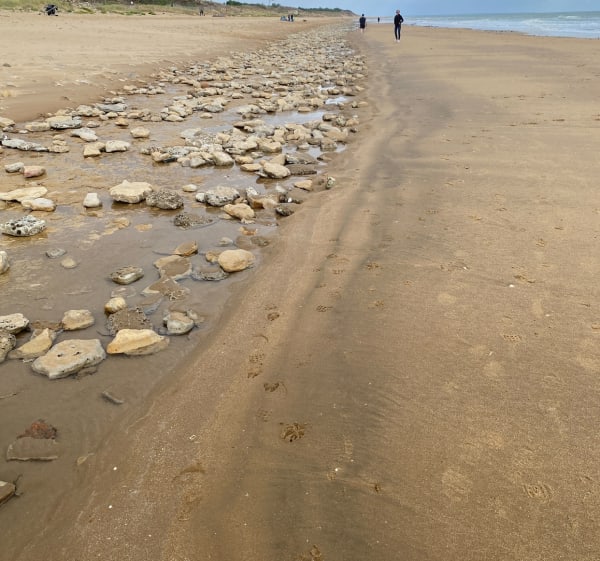 La Terrière et Pointe du Grouin du Cou - La Tranche-sur-Mer - 1