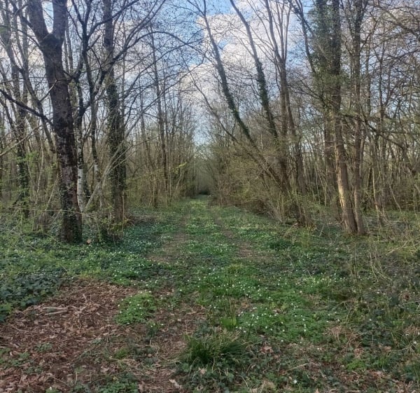 Boucle entre Poncey, Lamarche et Magny - Poncey-lès-Athée - 1