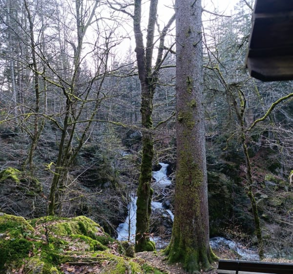 Rando de la vallée de Tendon - Le Tholy - 1