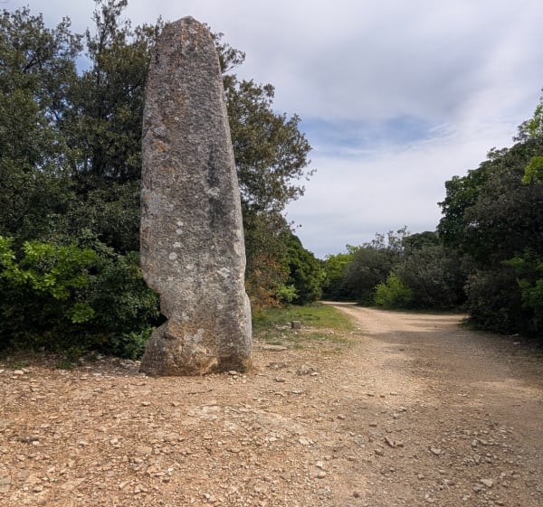 Randonnée a partir de Lussan et la Pierre Plantée - Lussan - 1