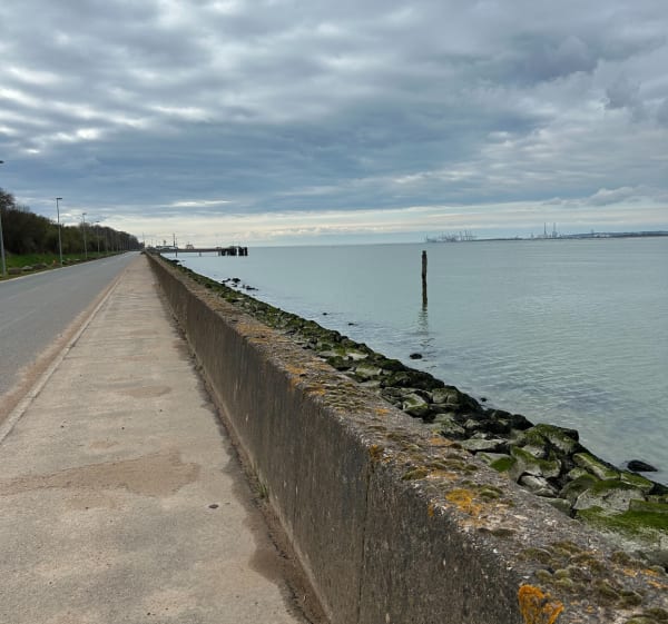 Le Pont de Normandie et l’estuaire de Seine - Honfleur - 1