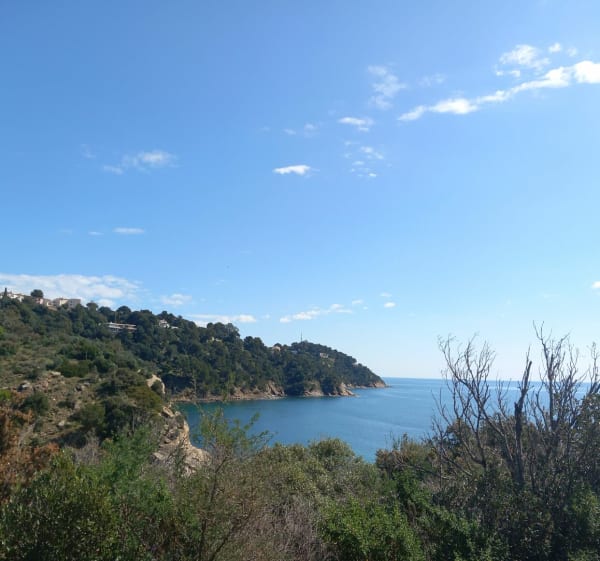 Sentier du Fenouillet - Cavalaire - Cavalaire-sur-Mer - 1