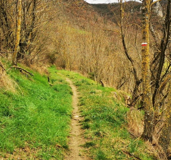 Balade au dessus de Saint-Georges-de-Luzençon - Saint-Georges-de-Luzençon - 1