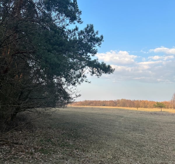 Przyćmień Kampinos - Kirsztajnów - 1