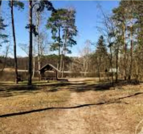 Spacer woky jeziora - Włocławek - 1