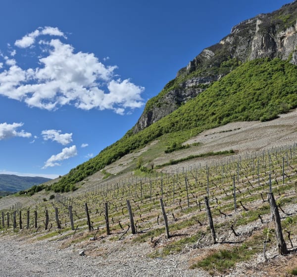 Boucle de Saint-Jeoire-Prieuré à Châteauneuf - Saint-Jeoire-Prieuré - 1