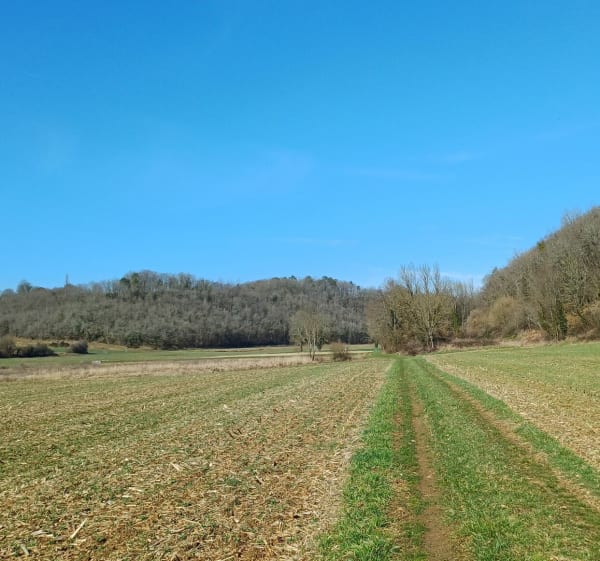 Balade en terrain plat, sur le Chemin Blanc, par Aux Ans - Archignac - 1