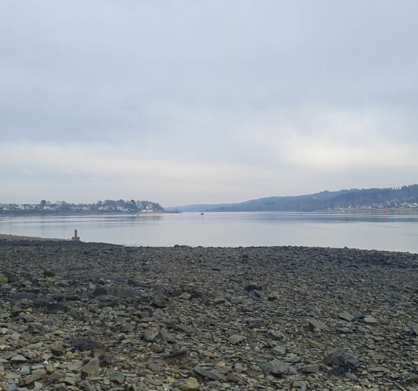 Rives de l'Elorn au Relecq Kerhuon - Le Relecq-Kerhuon - 1