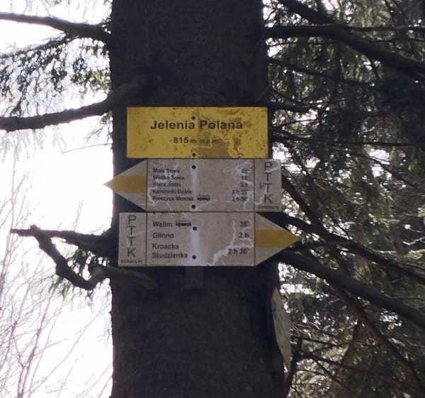 Z przełęczy Walimskiej na Przełęcz Sokolą. - Rzeczka - 1