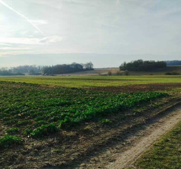 Boucle autour de Gastins - Gastins - 1