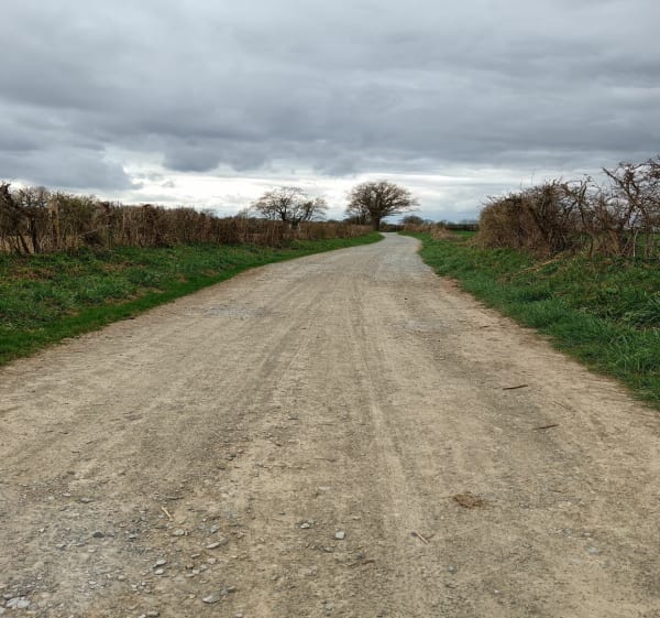 Aux alentours d'Evron - Évron - 1