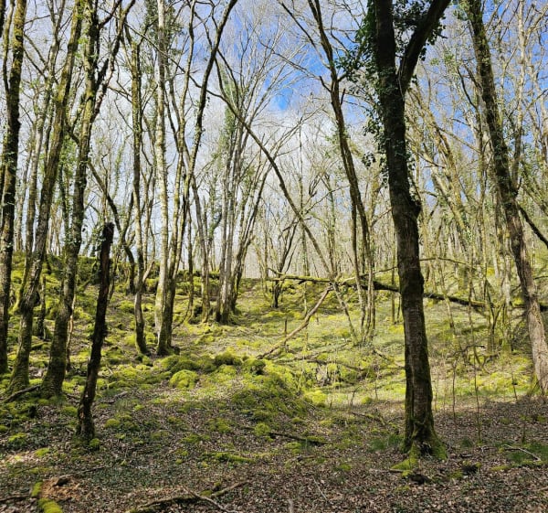 Sentier Eyvigues et le Rouquet - Salignac-Eyvigues - 1