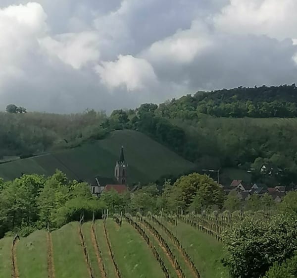 De St Hippolyte au Haut Koenigsbourg - Saint-Hippolyte - 1