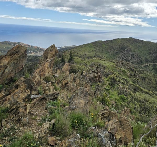 Randonnée de Portbou à la tour de Querroig - Portbou - 1