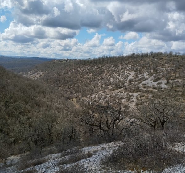 Campagne de Rocamadour, par la Caussonnette - Rocamadour - 1