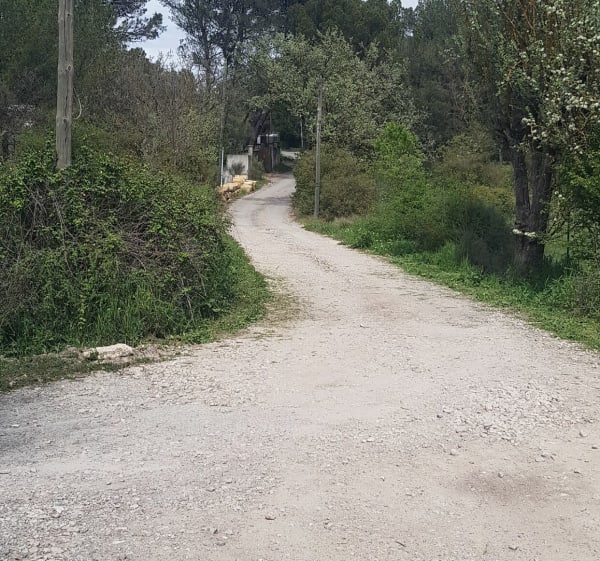 Petit tour dans la forêt de La Rabassière - Fuveau - 1