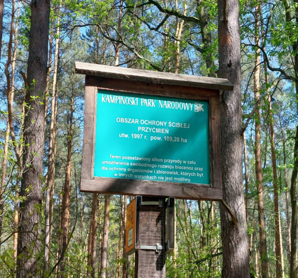 Kampinoski Park Narodowy - Joanna - 1