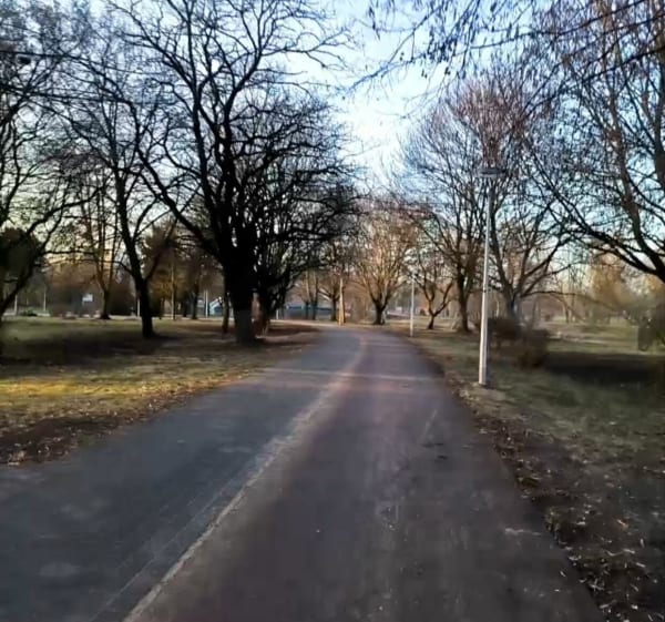 Wiosna idzie :) - Piła - 1
