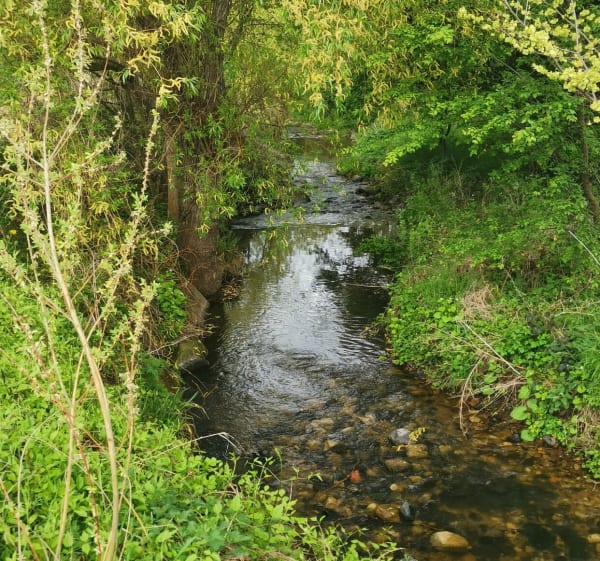 Tour de Montrognon - Beaumont - 1