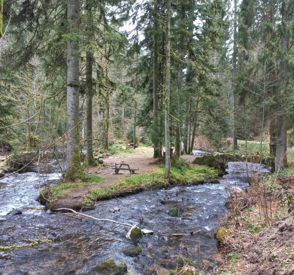 Les perles de Vologne en passant par la Roche du Page - Xonrupt-Longemer - 1