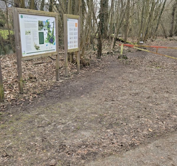 Sortie forestier à Neuhof - Strasbourg - 1