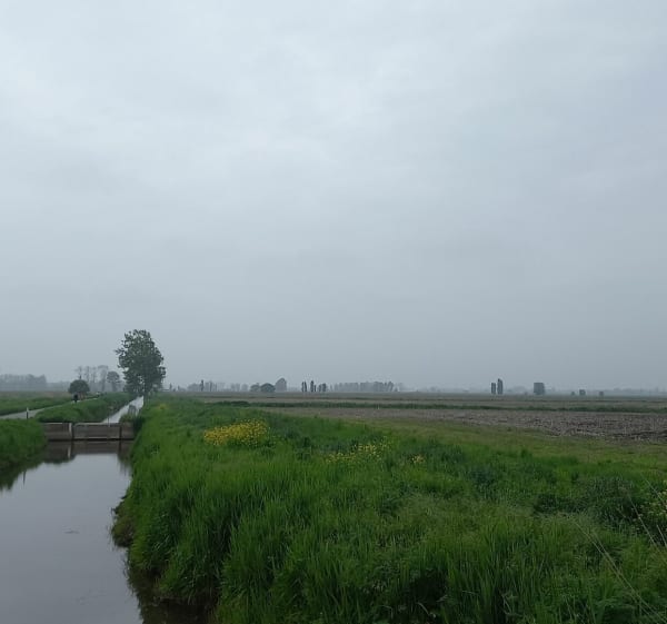 Le marée noir de Dol et Roz-Landrieux - Roz-Landrieux - 1