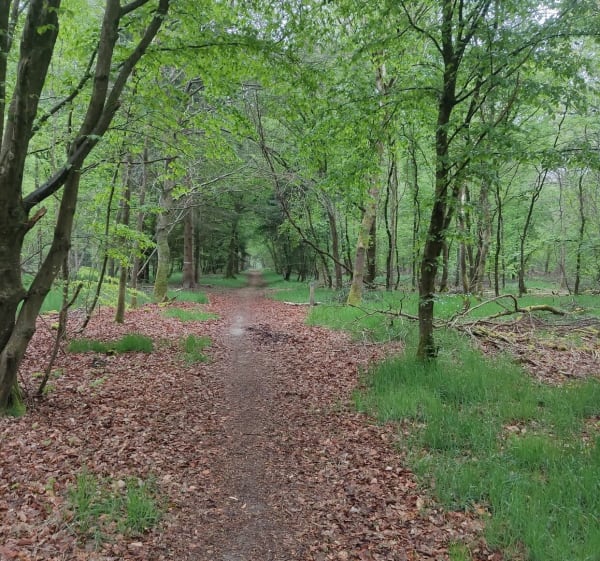 Boucle Les enclaves - Forest-Montiers - 1